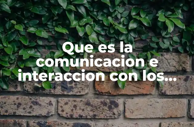 Que es la Comunicacion e Interaccion con los Demas
