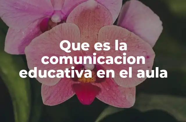 Que es la Comunicacion Educativa en el Aula