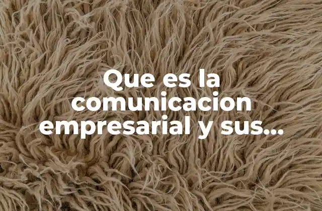 Que es la Comunicacion Empresarial y Sus Elementos