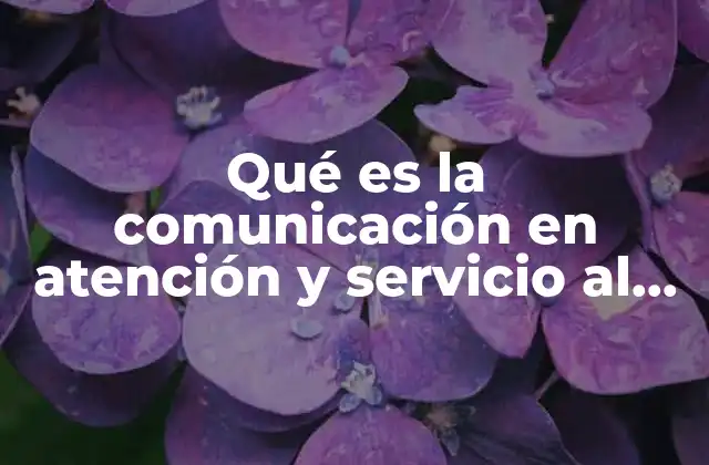 Qué es la Comunicación en Atención y Servicio Al Cliente