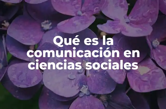 Qué es la Comunicación en Ciencias Sociales 2 El papel de la comunicación en la investigación social