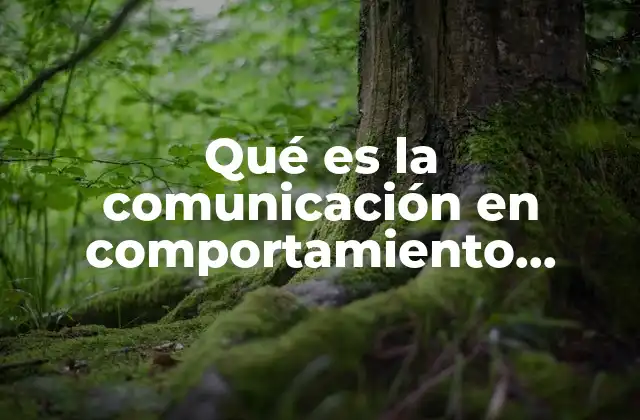 Qué es la Comunicación en Comportamiento Organizacional