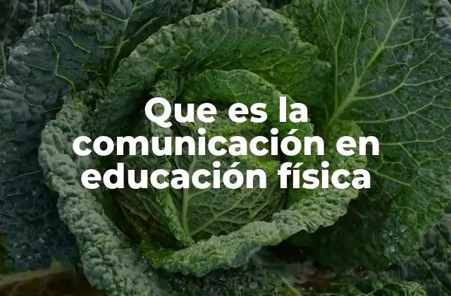 Que es la Comunicación en Educación Física 2 La importancia de la interacción en el aula de educación física