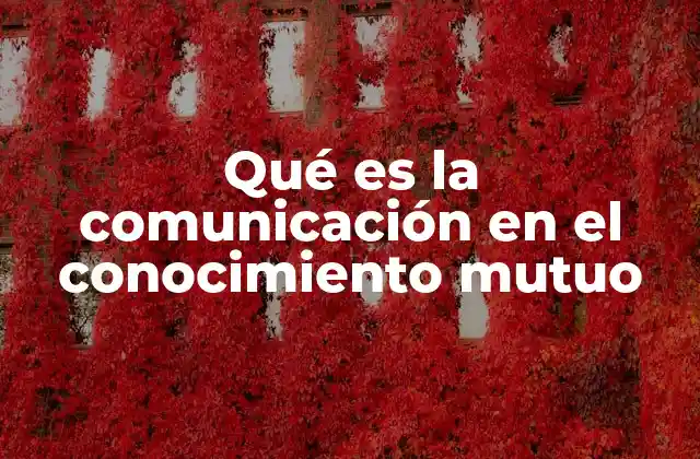 Qué es la Comunicación en el Conocimiento Mutuo