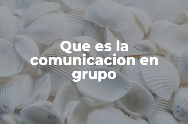 Que es la Comunicacion en Grupo
