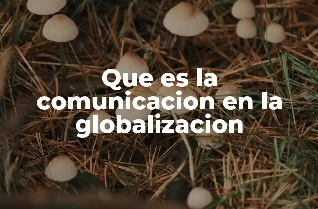Que es la Comunicacion en la Globalizacion