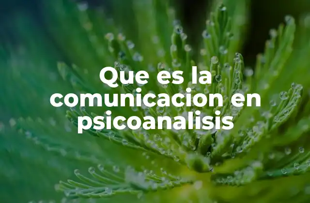 Que es la Comunicacion en Psicoanalisis