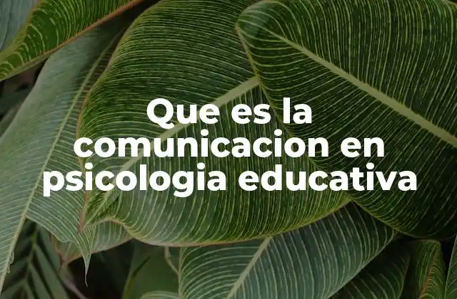 Que es la Comunicacion en Psicologia Educativa