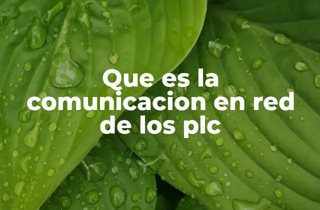 Que es la Comunicacion en Red de los Plc