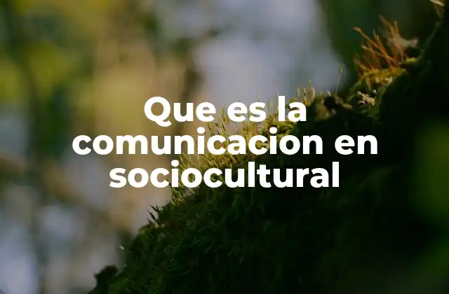 Que es la Comunicacion en Sociocultural