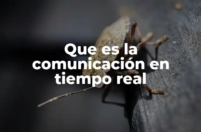 Que es la Comunicación en Tiempo Real 2 La evolución de la interacción inmediata en la era digital
