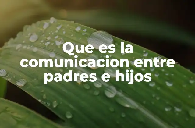 Que es la Comunicacion entre Padres e Hijos