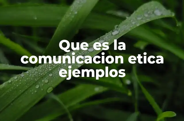 Que es la Comunicacion Etica Ejemplos