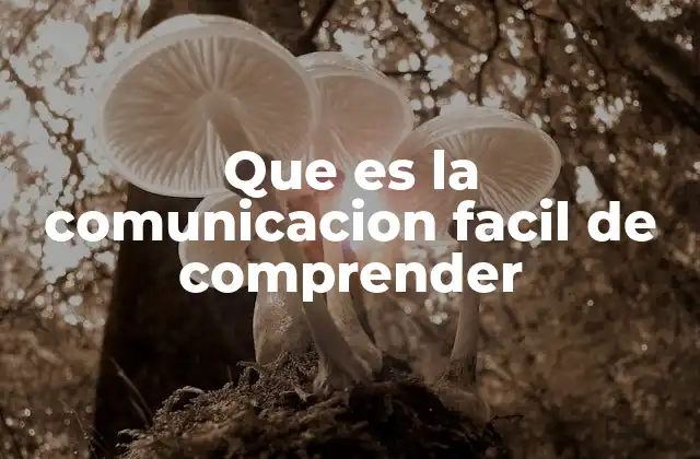 Que es la Comunicacion Facil de Comprender