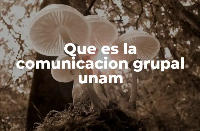 Que es la Comunicacion Grupal Unam