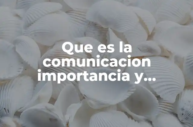 Que es la Comunicacion Importancia y Elementos