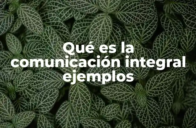 Qué es la Comunicación Integral Ejemplos 2 La importancia de una estrategia de comunicación unificada
