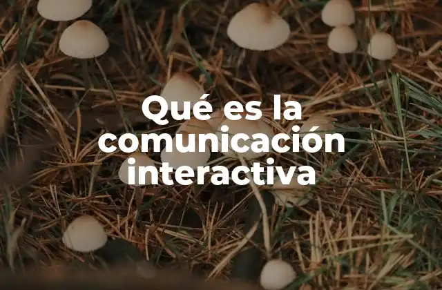 Qué es la Comunicación Interactiva