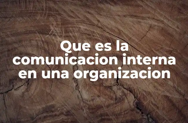 Que es la Comunicacion Interna en una Organizacion