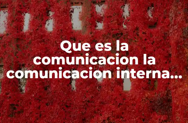 Que es la Comunicacion la Comunicacion Interna y Externa