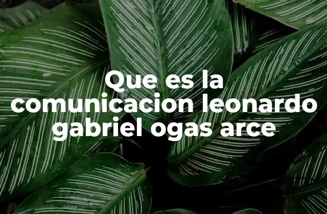 Que es la Comunicacion Leonardo Gabriel Ogas Arce