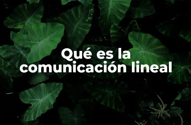 Qué es la Comunicación Lineal