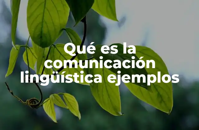 Qué es la Comunicación Lingüística Ejemplos