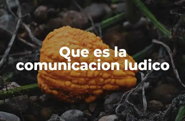 Que es la Comunicacion Ludico
