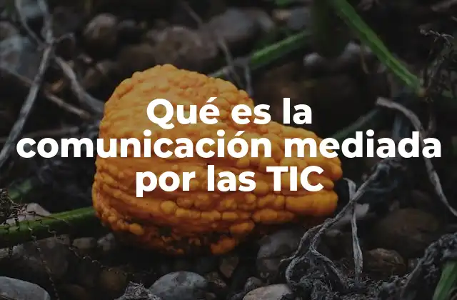 Qué es la Comunicación Mediada por las Tic