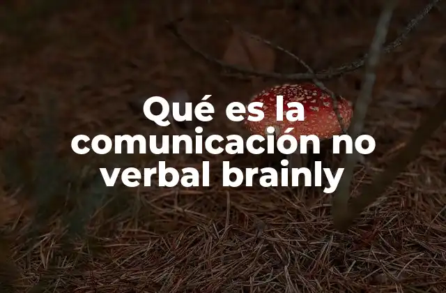 Qué es la Comunicación No Verbal Brainly