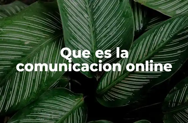 Que es la Comunicacion Online