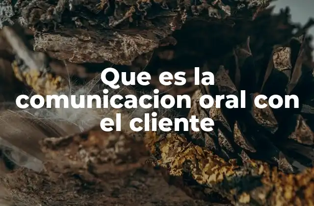Que es la Comunicacion Oral con el Cliente