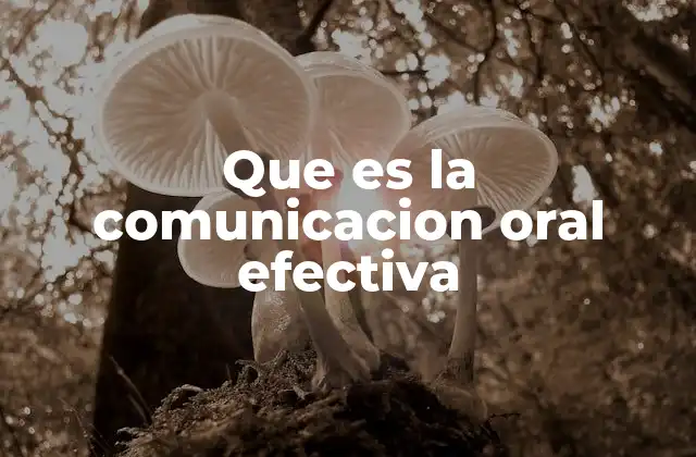 Que es la Comunicacion Oral Efectiva 2 La importancia de la conexión emocional en la transmisión verbal