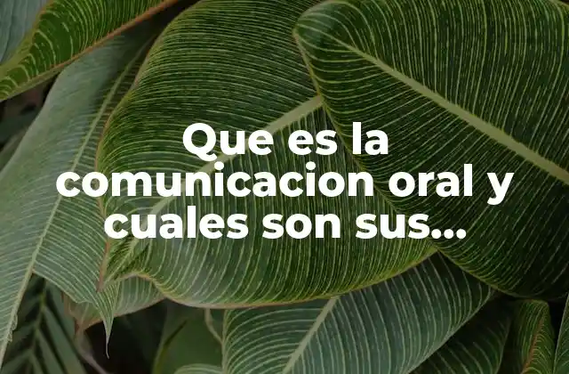 Que es la Comunicacion Oral y Cuales Son Sus Elementos