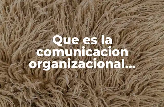 Que es la Comunicacion Organizacional Definicion
