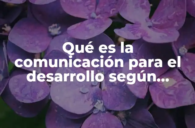 Qué es la Comunicación para el Desarrollo según Schramer