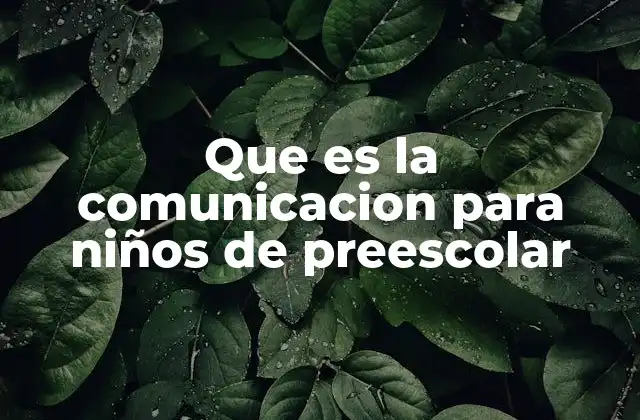 Que es la Comunicacion para Niños de Preescolar