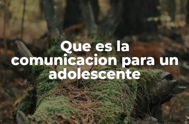 Que es la Comunicacion para un Adolescente