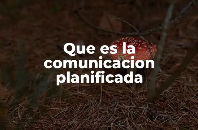 Que es la Comunicacion Planificada 2 La importancia de la planificación en la transmisión de mensajes