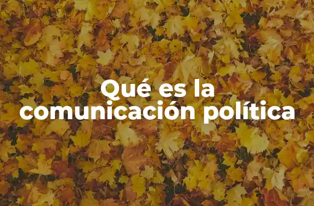 Qué es la Comunicación Política 2 El papel de la comunicación política en la democracia moderna