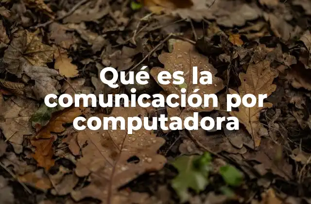 Qué es la Comunicación por Computadora