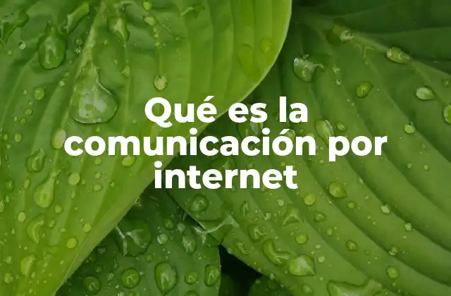 Qué es la Comunicación por Internet