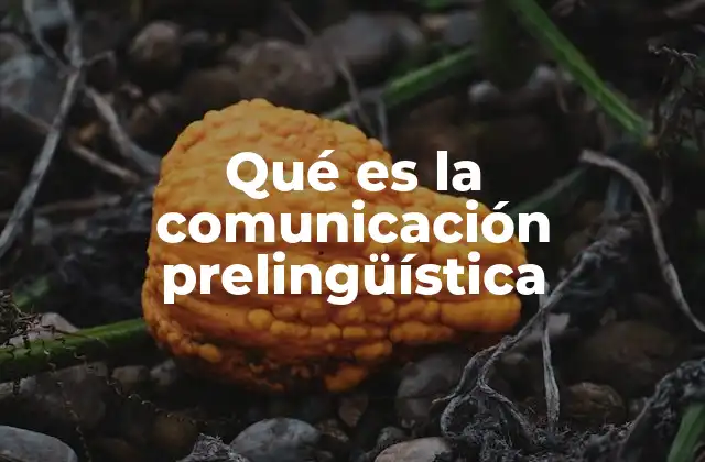 Qué es la Comunicación Prelingüística