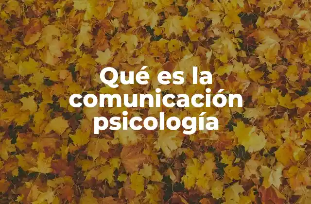 Qué es la Comunicación Psicología