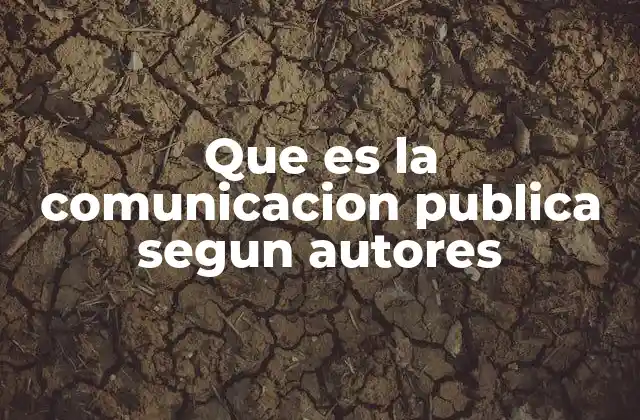 Que es la Comunicacion Publica Segun Autores 2 La comunicación pública como herramienta estratégica en el gobierno