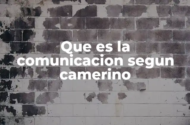 Que es la Comunicacion Segun Camerino