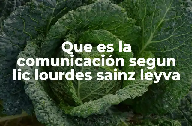 Que es la Comunicación Segun Lic Lourdes Sainz Leyva