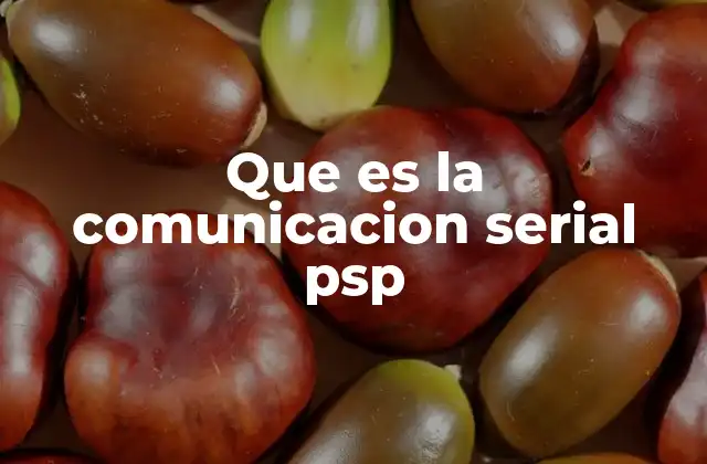 Que es la Comunicacion Serial Psp 2 Cómo funciona la conexión entre PSP y una computadora