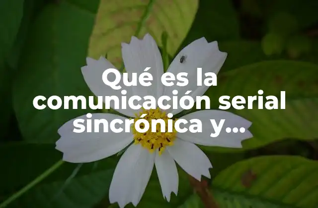 Qué es la Comunicación Serial Sincrónica y Asíncronica