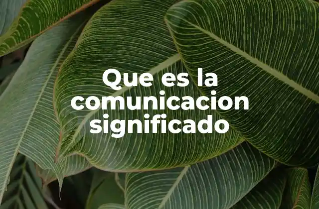Que es la Comunicacion Significado